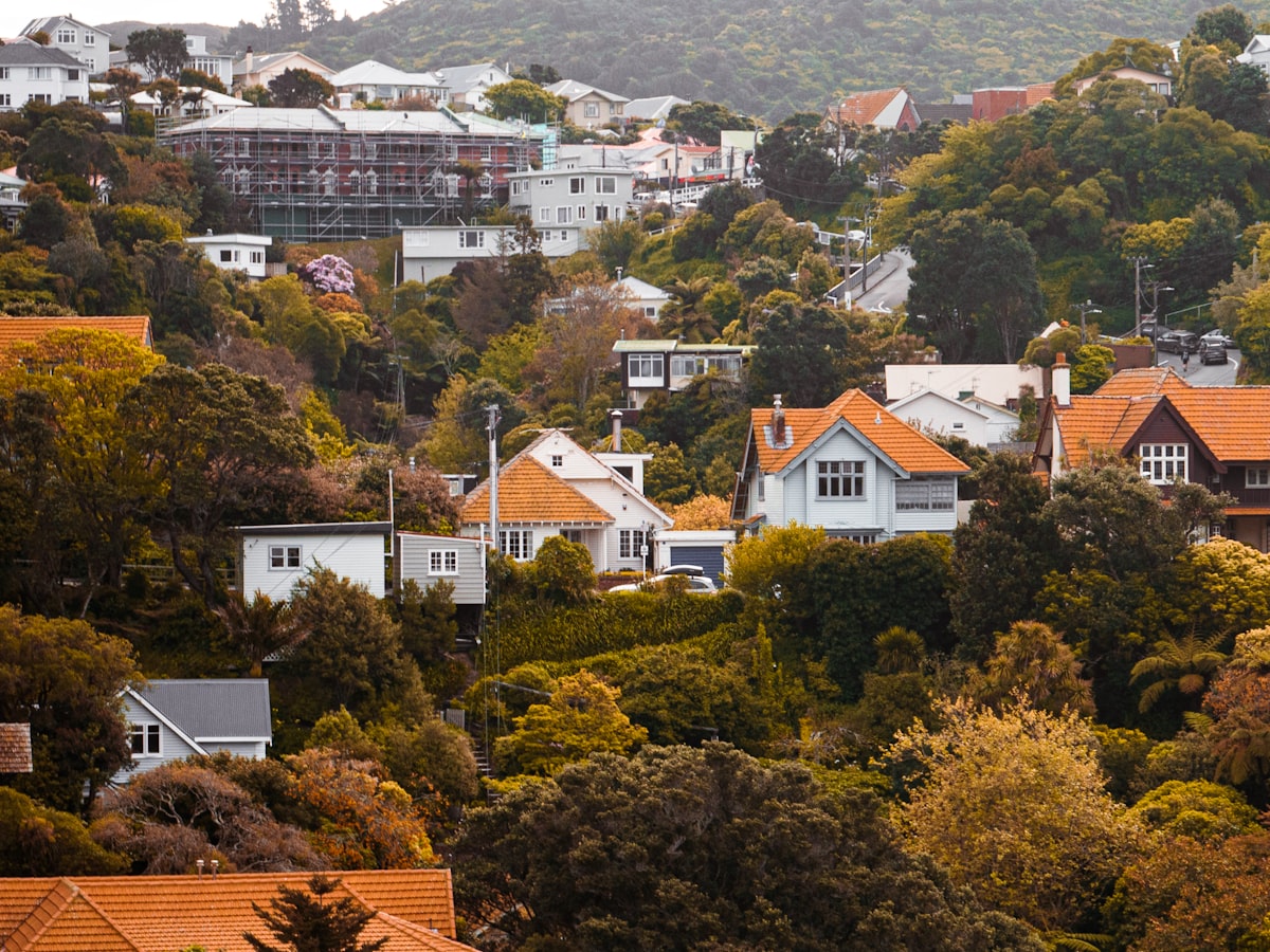 Villas and bungalows on a Wellington hillside, one under scaffolding