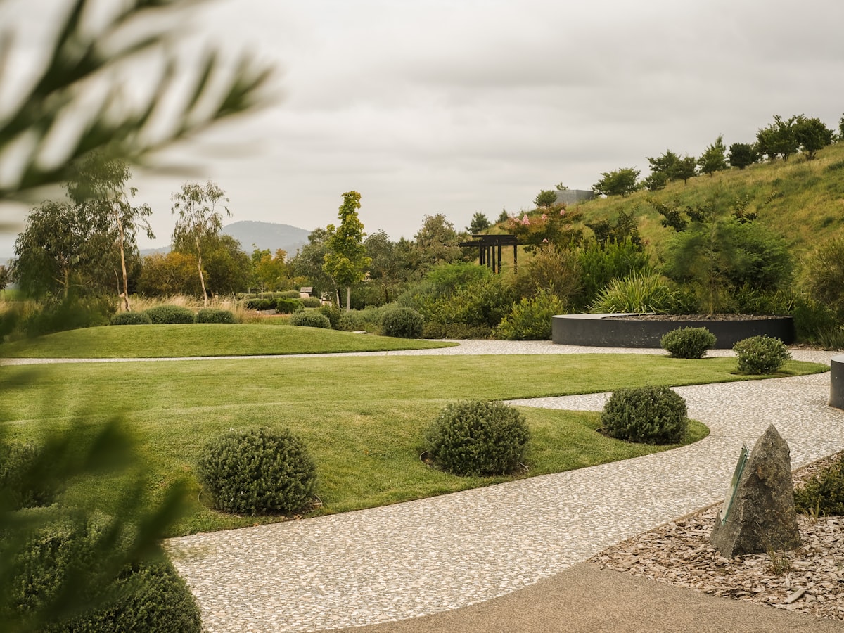 Established lawn framed by shaped hedging and mature planting